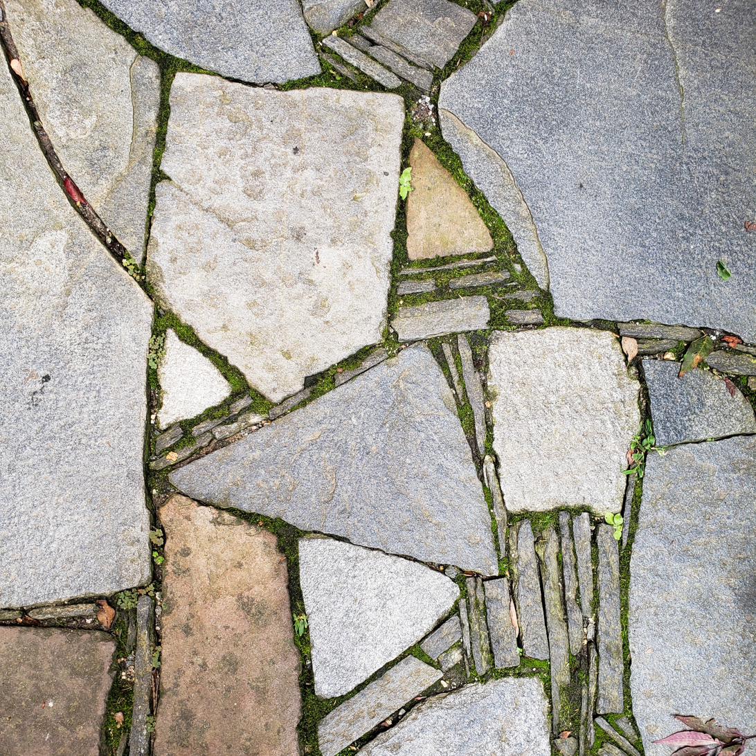 Mossy stone path detail