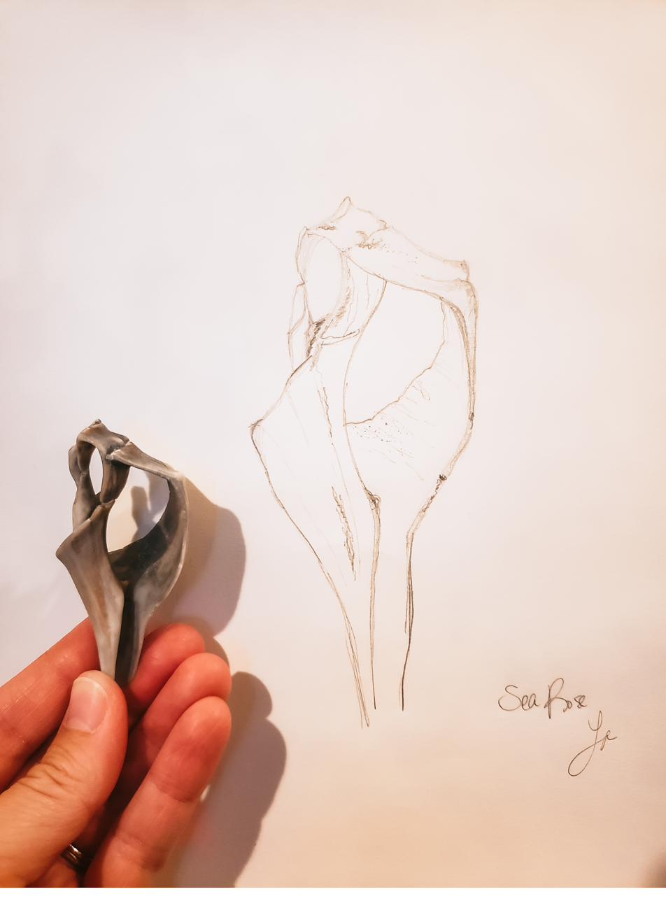 Sea Rose original sketch